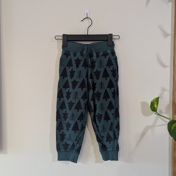 Evergreen Tree Set - Picture 2 of 5